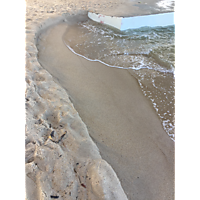 Virginia beach August king tide image